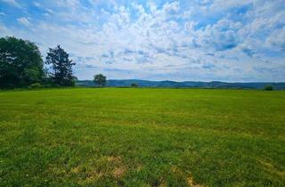 Haus kaufen in 53783 Eitorf, Eitorf - Rarität in fast Alleinlage hoch über dem Siegtal! Nur ca. 6 km bis Eitorf.