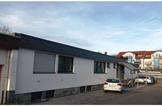Wohnung mieten in 65474 Bischofsheim, Geräumige 1-Zimmer-Wohnung mit EBK in Bischofsheim