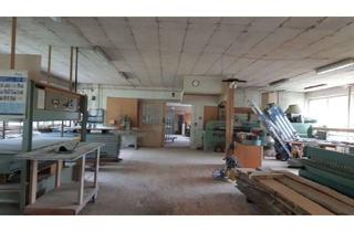 Gewerbeimmobilie mieten in 74582 Gerabronn, Eingerichtete Schreinerei mit Außengelände