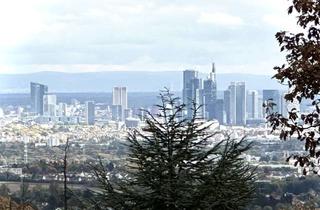 Villa kaufen in 61462 Königstein, Understatement: Energieeffiziente Villa im Bauhaus-Stil, 6 Garagenstellplätzen, Pool, Aufzug
