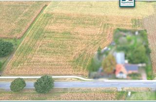 Gewerbeimmobilie kaufen in 49565 Bramsche, Landwirtschaft – 14.000m² Ackerland in Bramsche Achmer