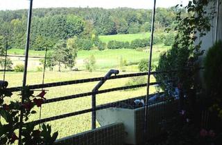 Wohnung kaufen in 79585 Steinen, Steinen - Provisionsfreier - Verkauf - 2 Zi.-Whg. - Steinen tolle Aussicht