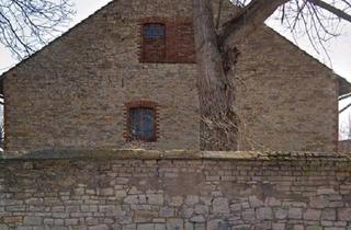 Haus kaufen in 39397 Gröningen, Gröningen - Antiken 450 qm Haus zu verkaufen