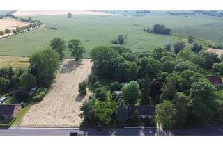 Bauernhaus kaufen in 17091 Rosenow, Rosenow - Charaktervolles Bauernhaus mit traumhaftem großem Grundstück