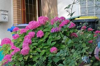 Einfamilienhaus kaufen in 34560 Fritzlar, Fritzlar - Preiswertes 6-Raum-Einfamilienhaus in Fritzlar Ungedanken