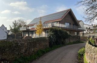 Wohnung mieten in Wormser Straße 8 a, 67304 Eisenberg, Wohnen im Park 2,5-Zimmer Maisonettwohnung mit luxuriöser Ausstattung mit Balkon in Eisenberg