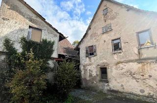 Haus kaufen in Brückenstraße, 74921 Helmstadt-Bargen, Landwirtschaftliches Anwesen mit diversen Gebäuden im Ortskern