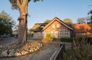 Lofts mieten in 21755 Hechthausen, Loftflair im historischen Fachwerk – Lichtdurchflutete 3-Zimmer-Wohnung in Hechthausen