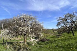 Grundstück zu kaufen in Elzerather Straße, 54497 Morbach, Traumgrundstück mit Quelle, Brunnen, Hang, Scheune 3.500 m² Baugrund Naturidylle in Elzerath/Morbach