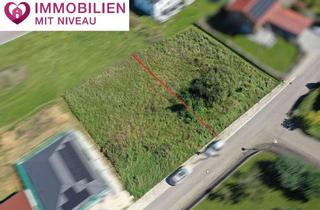 Grundstück zu kaufen in Altenbergstraße, 89440 Lutzingen, Traumhafter Bauplatz in sonniger Südhanglage von Lutzingen + Optional 2. Bauplatz direkt daneben ! !