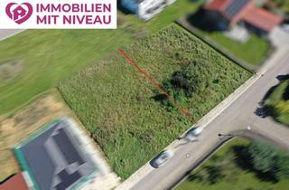 Grundstück zu kaufen in Altenbergstraße, 89440 Lutzingen, Traumhafter Bauplatz in sonniger Südhanglage von Lutzingen + Optional 2. Bauplatz direkt daneben ! !