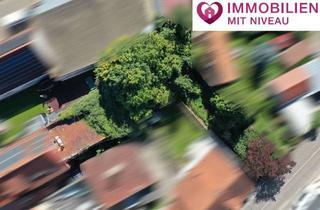 Grundstück zu kaufen in 89407 Dillingen, Grundstück / Bauplatz mit Altbestand in Bestlage von Dillingen a. d. Donau!