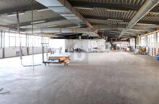Gewerbeimmobilie kaufen in 48599 Gronau (Westfalen), UNTERNEHMER-PROJEKT, NAHE DER NL GRENZE