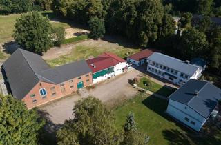 Grundstück zu kaufen in Oher Weg 44, 22969 Witzhave, Vielseitig nutzbares Anwesen mit Weide-, Wald- und Wohnflächen in 22969 Witzhave