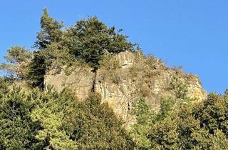 Gewerbeimmobilie kaufen in 54570 Mürlenbach, Campingplatz in beliebter Urlaubsregion - umsatzstarke Vollexistenz in Bestzustand, Betreiberwohnung