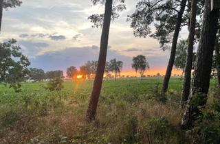Haus kaufen in 29574 Ebstorf, Ebstorf - Wochenendhaus in der Südheide