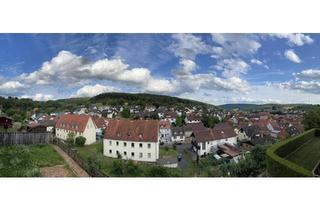 Einfamilienhaus kaufen in 63853 Mömlingen, Mömlingen - Geräumiges, individuelles, großes Einfamilienhaus in Mömlingen