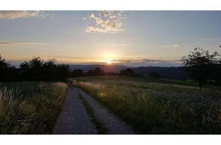 Wohnung kaufen in 79843 Löffingen, Sofort einziehen oder vermieten: 2,5-Zimmerwohnung mit eigener Garage – ideal als Ferienwohnung