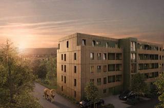 Penthouse kaufen in 64285 Darmstadt, SCHWIND IMMOBILIEN - "Das Lapinou" - exklusive 4-Zimmer-Neubau-Penthousewohnung im Ludwigshöhviertel