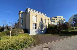 Wohnung kaufen in 76887 Bad Bergzabern, 2023 komplett neu renoviert: Eigentumswohnung-vermietet-mit Einzelgarage u. KFZ-Stellplatz i. Freien