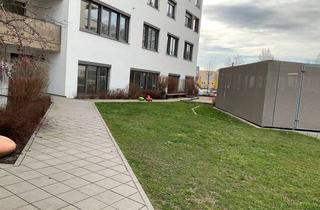 Wohnung mieten in Rheinallee, 67061 Süd, Stopp - hier ist sie - Großzügig geschnittene Wohnung