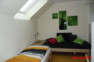 Wohnung mieten in Bierweg 62a, 90530 Wendelstein, Sonnige, gepflegte 1-Zimmer-Wohnung mit Balkon in Wendelstein