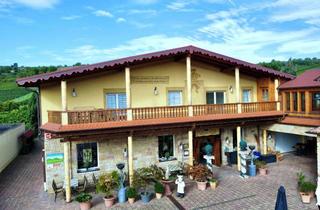 Wohnung mieten in 67169 Kallstadt, Wohnen mit Stil und Flair... schicke Mietwohnung mit EBK, Carport und 2 Balkonen