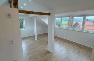 Lofts mieten in Häusserstraße 45, 69436 Schönbrunn, Helles neu saniertes Dachstudio Loft 800.- Warm