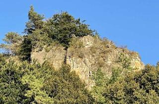 Gewerbeimmobilie kaufen in 54570 Mürlenbach, Campingplatz in beliebter Urlaubsregion - umsatzstarke Vollexistenz in Bestzustand, Betreiberwohnung