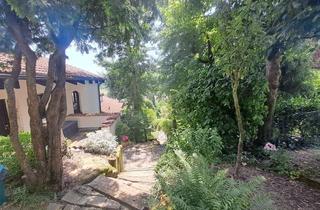 Haus kaufen in Ulmenstr., 71088 Holzgerlingen, Haus mit ELW sucht sportliche Nutzer, die die Hang- und Aussichtslage schätzen, 3 Garagen, neue EBK