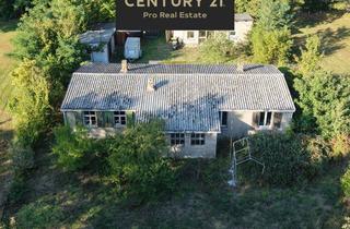 Haus kaufen in 14621 Schönwalde-Glien, Großzügiges Grundstück mit Charmehaus – kreative Oase nahe Berlin