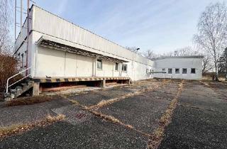 Gewerbeimmobilie mieten in 01640 Coswig, Rund 2.000 m² Gewerbefläche | Vielseitig nutzbar | mit Rampe und Rolltor