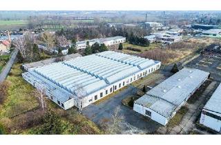 Gewerbeimmobilie mieten in 01640 Coswig, 5.100 m² beheizte Hallenfläche in Coswig bei Dresden zur Miete