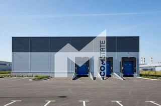 Gewerbeimmobilie mieten in 50129 Bergheim, LOGISTIK | LAGER | HALLE | RAMPEN | BEHEIZT | COMSTATE