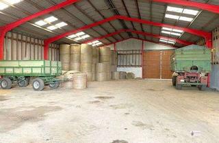 Gewerbeimmobilie mieten in 27321 Thedinghausen, Gewerbehalle mit großen Durchfahrttoren+ Werkstatt + Chemielager+ Öltanklager für kleines Geld