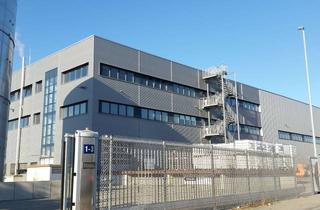 Gewerbeimmobilie mieten in 64584 Biebesheim, Spedition- und Logistikfläche / WGK 3 Bodenbelag