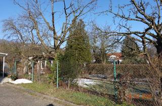 Grundstück zu kaufen in Am Gartenbau, 17033 Neubrandenburg, Grundstück mit gärtnerischer Nutzung – viel Potenzial für Ihr Bauprojekt