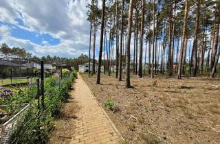 Grundstück zu kaufen in Olof Palme Ring, 14822 Borkwalde, PROVISIONSFREI ohne Bauträgerbindung! Tolles Grundstück für Einfamilienhaus in Borkwalde