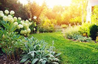 Grundstück zu kaufen in 16727 Oberkrämer, Wohnen im Speckgürtel von Berlin - Baugrundstück in Vehlefanz *voll erschlossen*