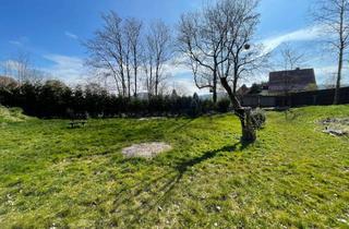 Grundstück zu kaufen in 38855 Wernigerode, Baugrundstück mit Schlossblick in Wernigerode für Einfamilienhaus oder Doppelhaus