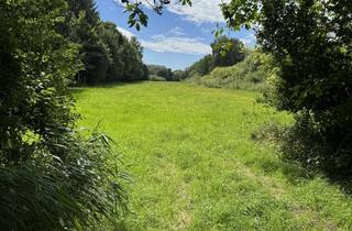 Grundstück zu kaufen in 85435 Erding, Wiese bei Wörth nahe Erding