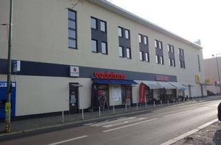 Gewerbeimmobilie mieten in Sterndamm 33, 12487 Johannisthal, Gewerbeeinheit in Berlin-Johannisthal – Nähe S-Bahnhof Schöneweide