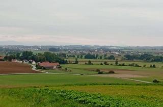 Gewerbeimmobilie kaufen in 84082 Laberweinting, Ackerflächen in der Gemeinde Laberweinting