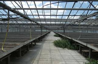 Büro zu mieten in Geranienweg, 76767 Hagenbach, Große Gewerbefläche mit Gewächshäusern, Labor, Büros und Monteurswohnungen
