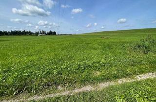 Gewerbeimmobilie kaufen in 83128 Halfing, Landwirtschaftliche Flächen Mühldorf bei Halfing