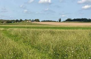 Gewerbeimmobilie kaufen in 83128 Halfing, Landwirtschaftliche Flächen Mühldorf bei Halfing