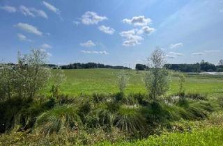 Gewerbeimmobilie kaufen in 83128 Halfing, Landwirtschaftliche Flächen Mühldorf bei Halfing