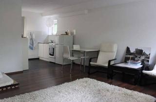 Wohnung mieten in 90530 Wendelstein, Helle, moderne Souterrain-Wohnung direkt am Alten Kanal