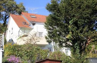 Wohnung mieten in 78239 Rielasingen-Worblingen, Lichtdurchflutete 2-Zimmer-Wohnung mit Balkon und Garten in Rielasingen-Worblingen