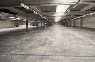 Büro zu mieten in 96247 Michelau, Industriehalle/Speditionslager/ mit Logistik-Service und *Rampen* u.Büro